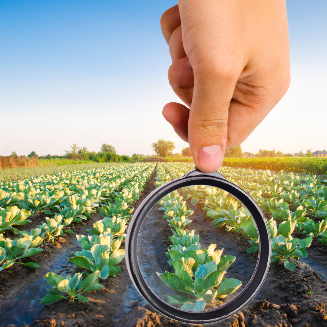 Agro Services And Consultation